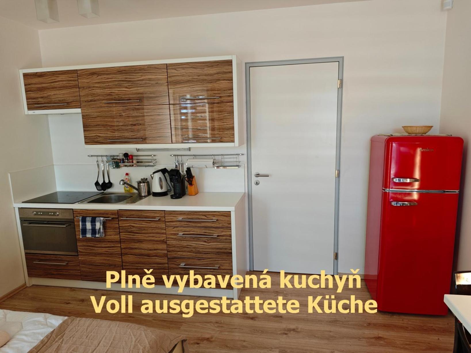 Apartman Sova - Klinovec Loučná pod Klínovcem Exterior foto